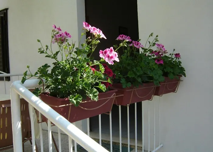Apartmani Luna