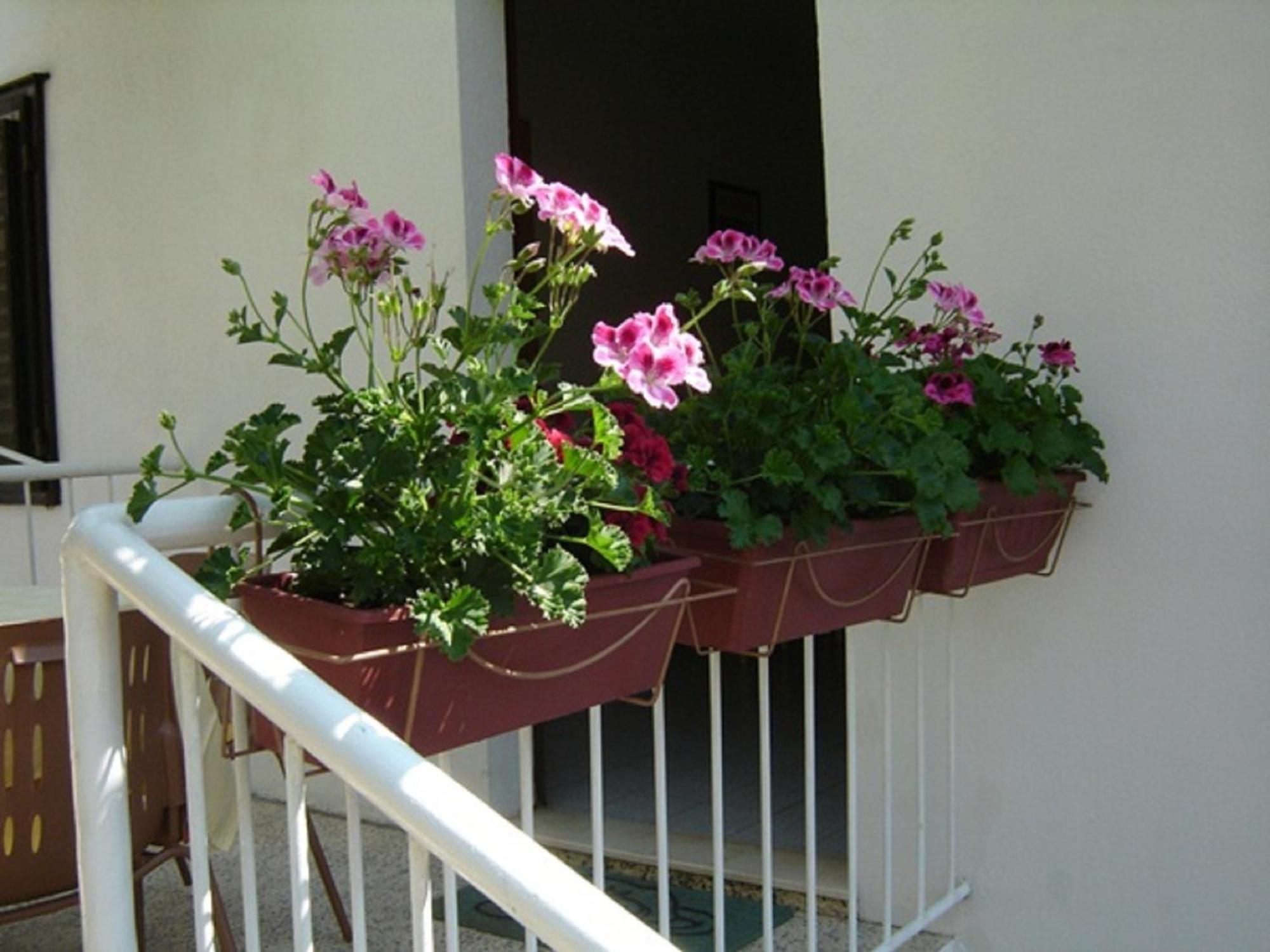 Apartment Luna *