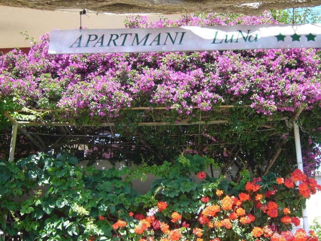 Apartman Luna Hvar Town