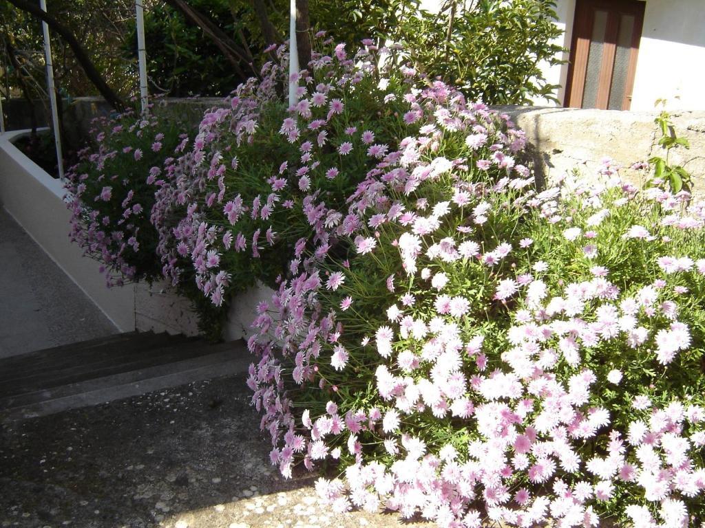 Luna Apartman Hvar Town