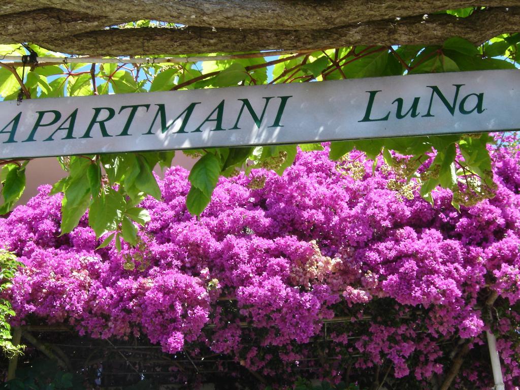 Luna Apartman Hvar Town